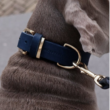 Hundetilbehør til den store hund