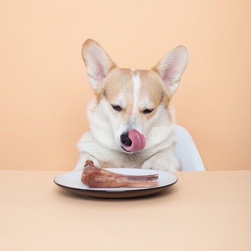 Sunde tyggeben til små, mellem eller store hunde
