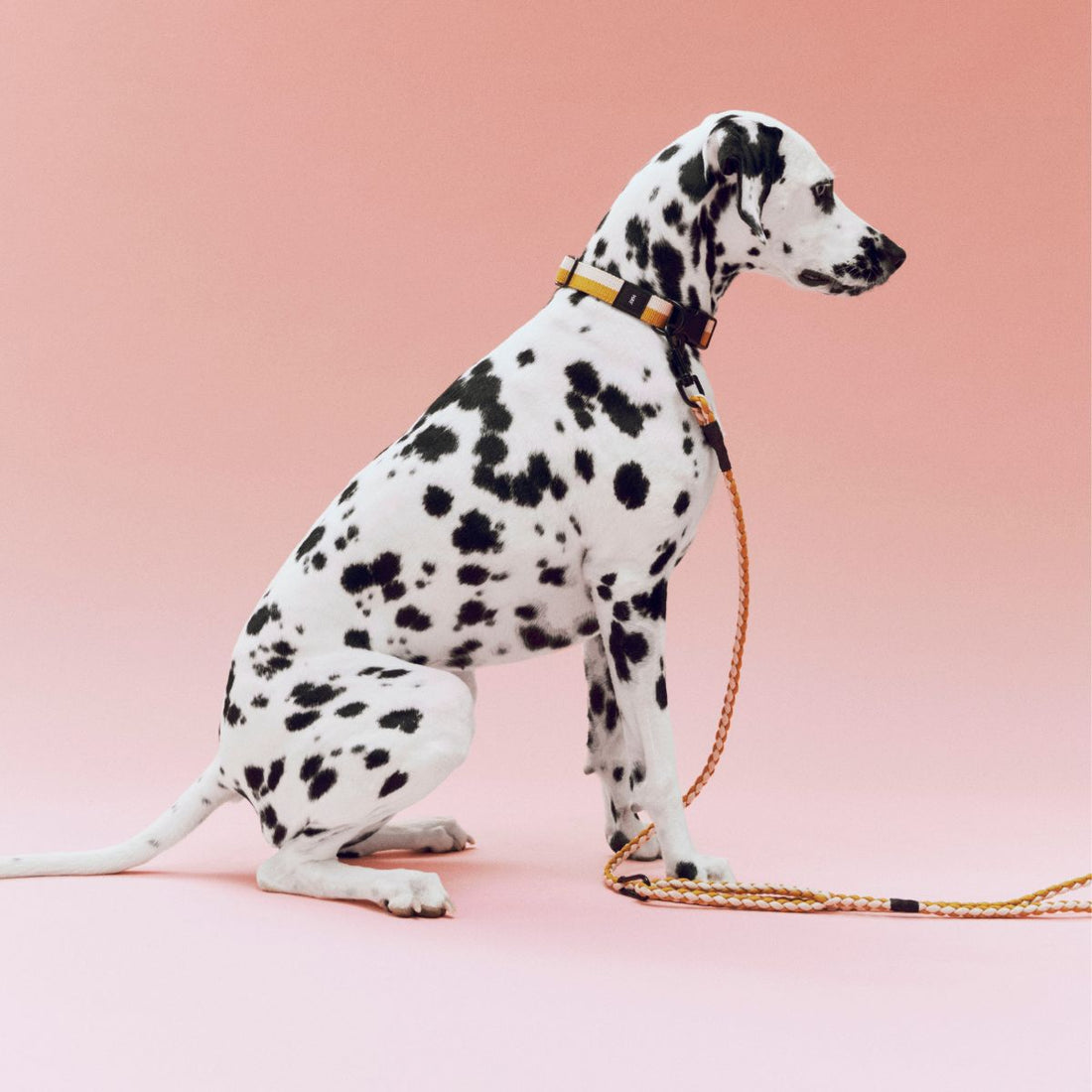 HAY Dogs Braided // Braided dog leash in recycled nylon (yellow/cream)