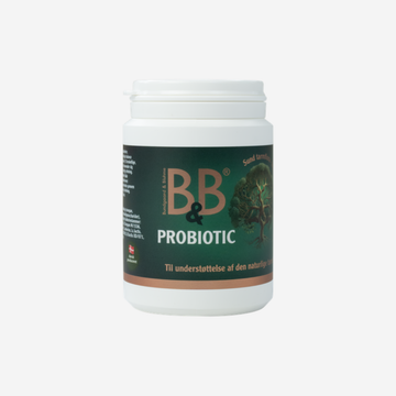 B&B Probiotic // Support for the natural intestinal flora (powder) 