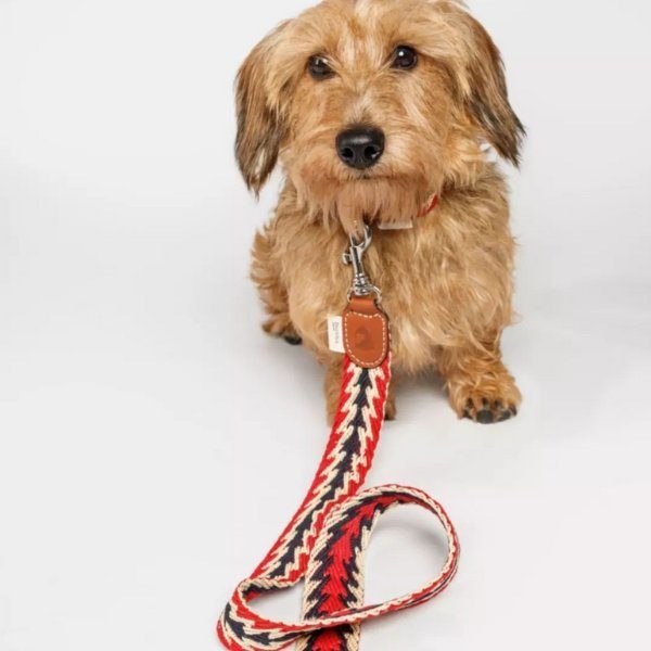 Buddys Dogwear Peruvian Arrow // Wide and light leash (red)