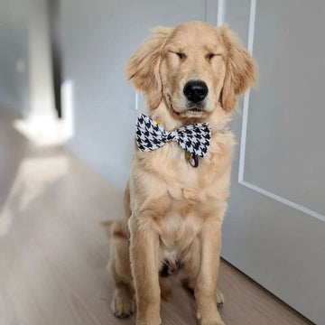 Classic Houndstooth // Hundebutterfly i klassiske tern (sort-hvid)