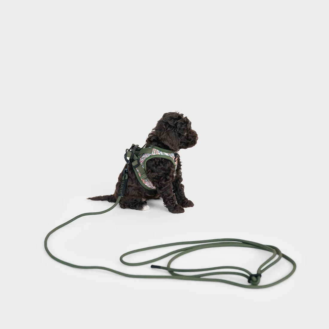 Cloud7 LTTL Harness // Step-in hundesele til hvalpe & små hunde (blossoms)