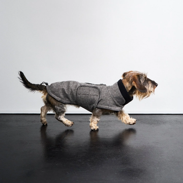 Cloud7 Brooklyn, Gravhund // Varm og vandafvisende hundejakke (tweed black)