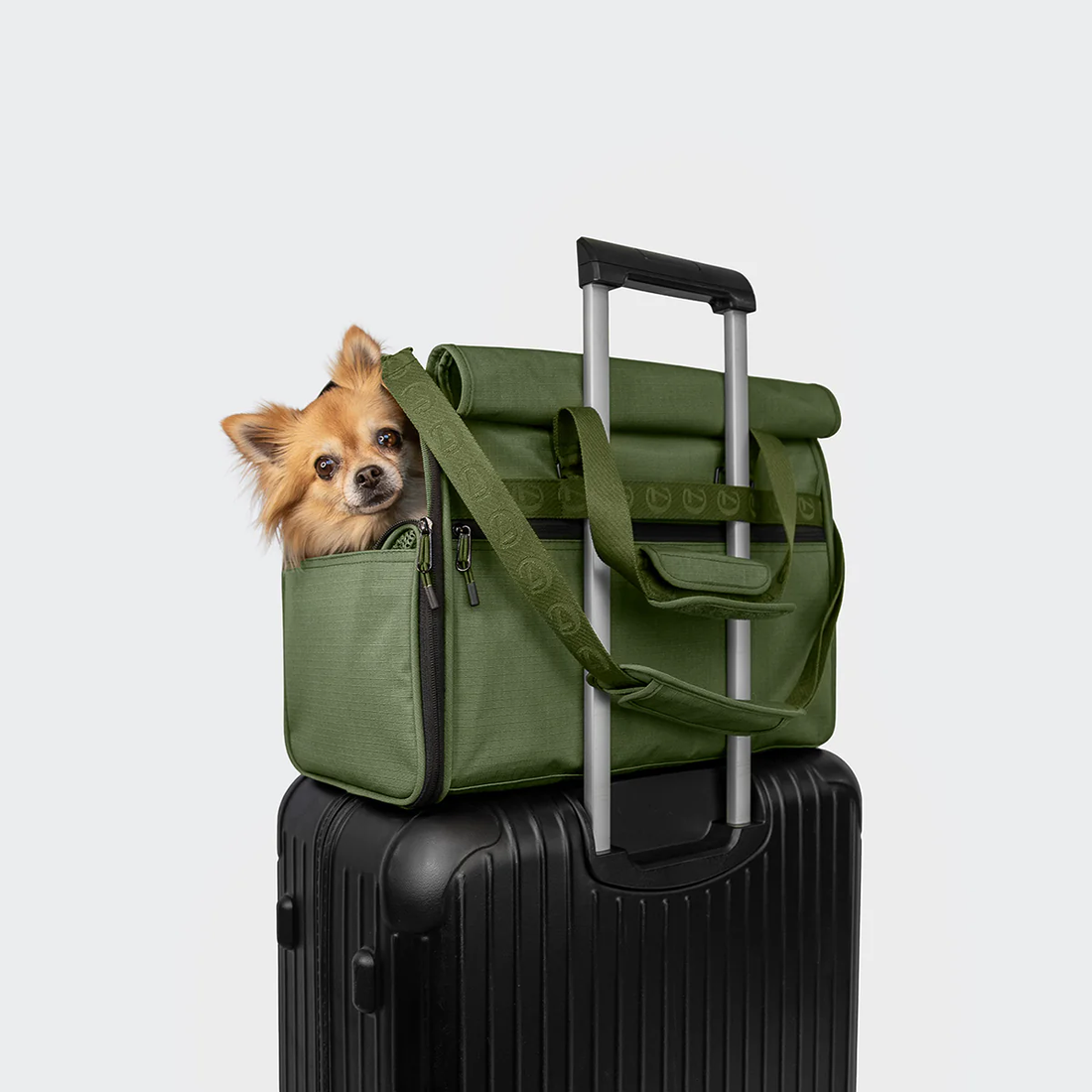 Cloud7 ACTIVE Flight Carrier // Practical transport and flight bag for dogs (olive)