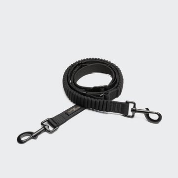 Cloud7 ACTIVE Jogging // Elastic and Hands-Free Leash (black)