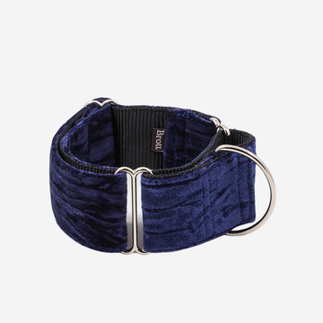 Martingale Brott Buseu // Collar for greyhounds (blue velor)