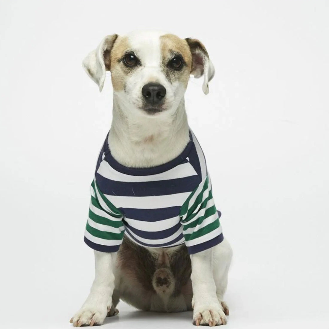 Ellsworth T-shirt // Hundetrøje i økologisk bomuld (navy/grøn)