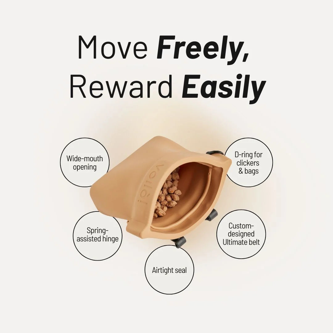 Voila Sealable Treat Pouch // Airtight Treat Pouch (Biscuit)