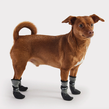 GF Pets® All-Terrain Dog Boots // Outdoor dog shoes (4 pcs.)