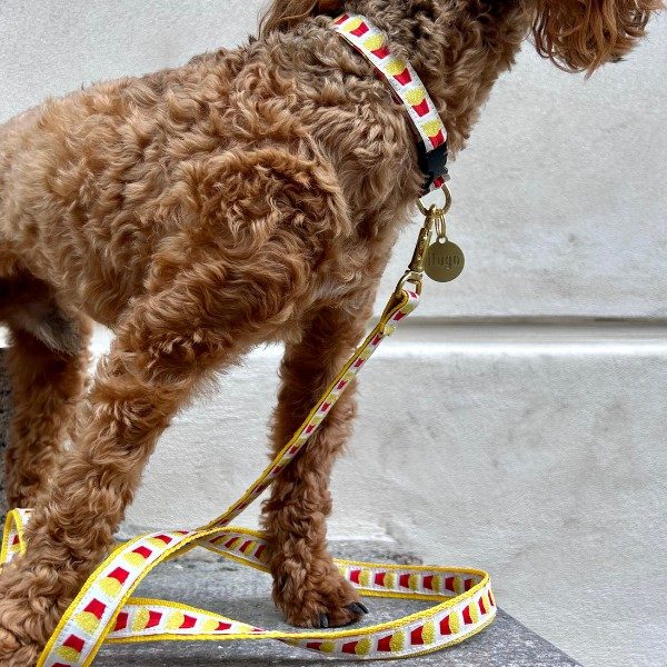 My First Leash // Håndlavet hvalpeline (pommes frites)
