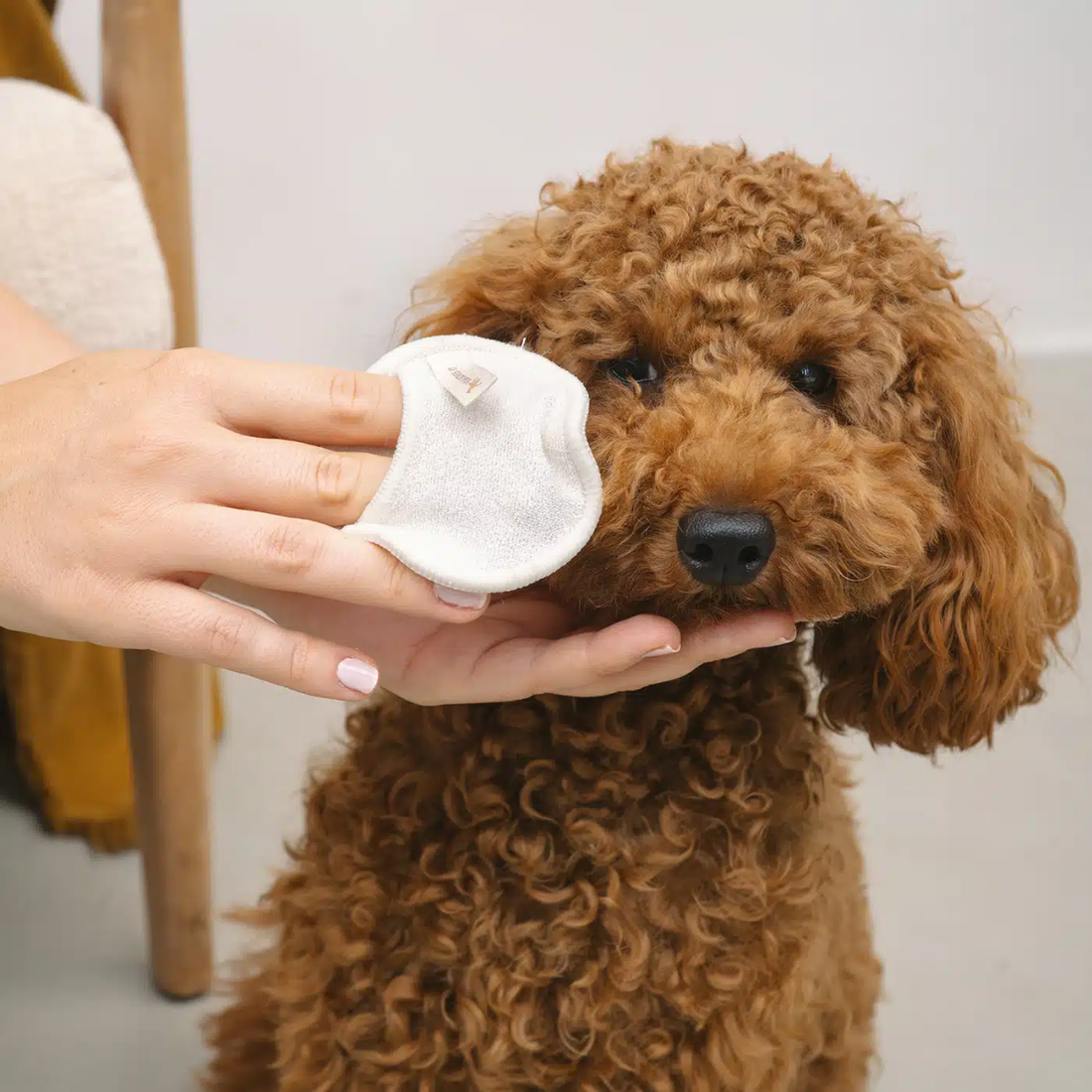 Lila Loves It Cleanies // Gentle and Reusable Cleansing Pads