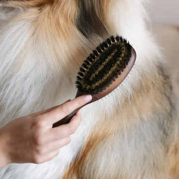 Lila Loves It Double Brush // 2-in-1 dog brush for short and long coats