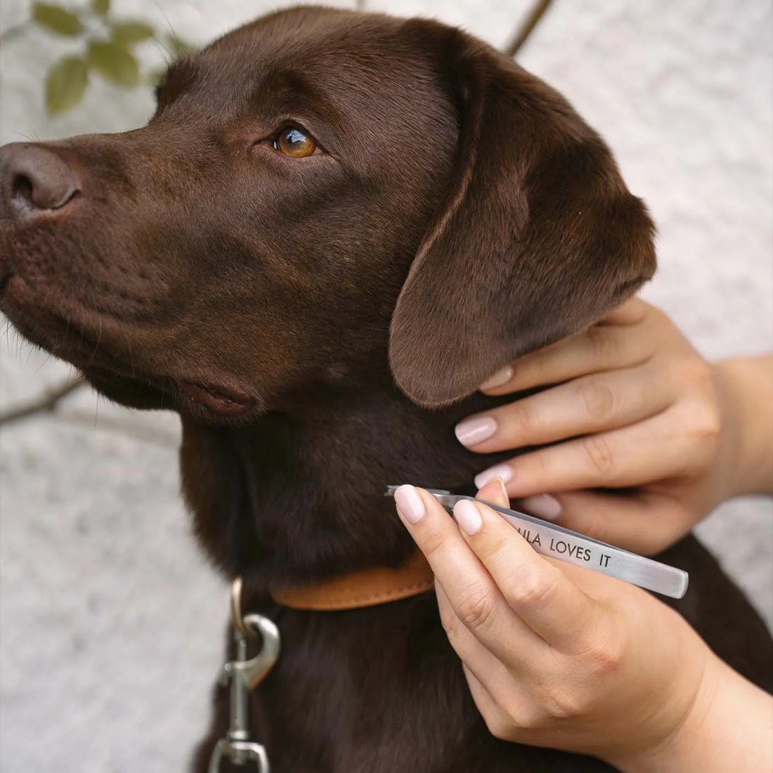 Lila Loves It Tweezer // Stainless Steel Tick Remover