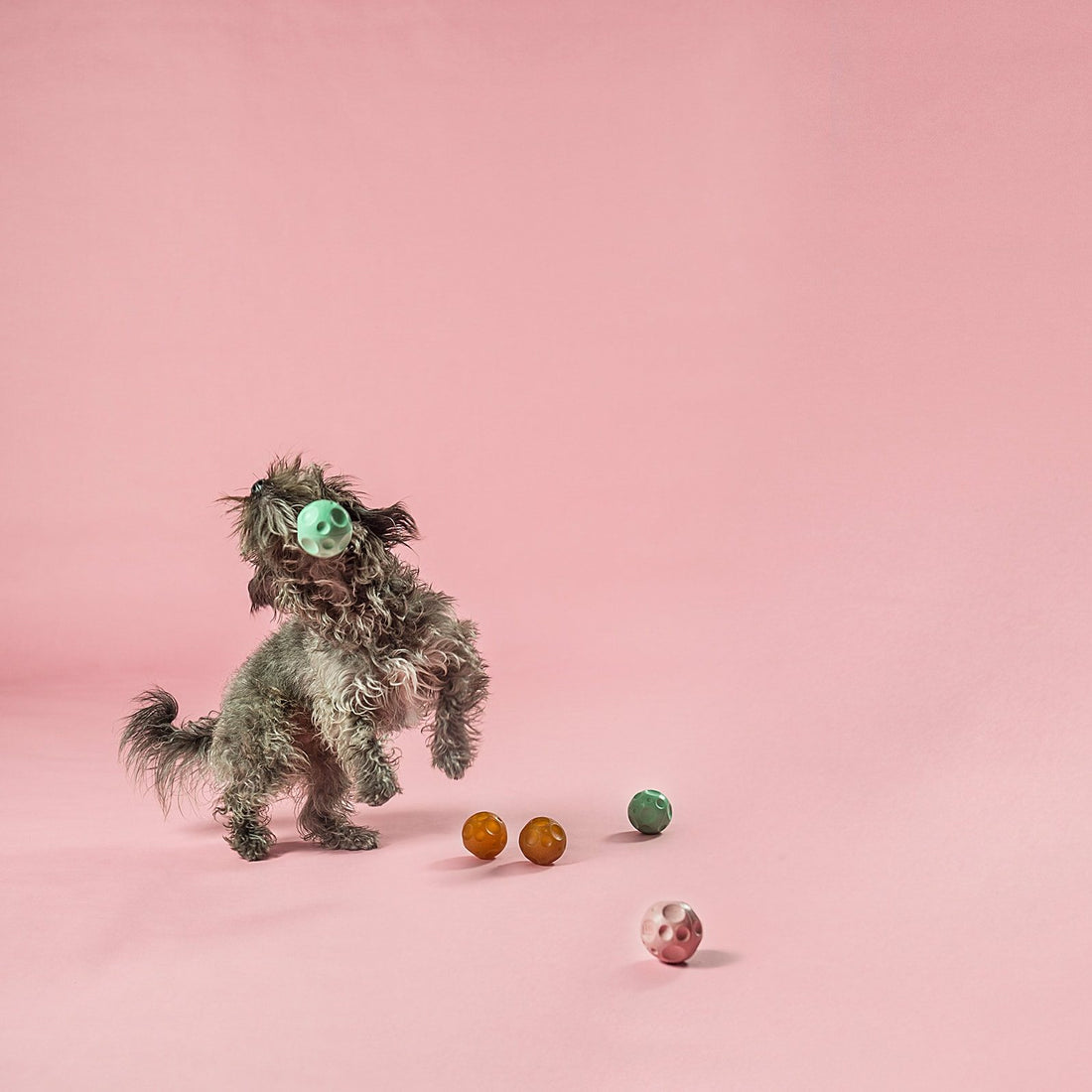 Hevea Moonball // Natural rubber ball with space for treats (pink)
