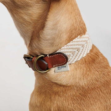 Buddys Dogwear Portixol Sand // Wide and light collar (beige)