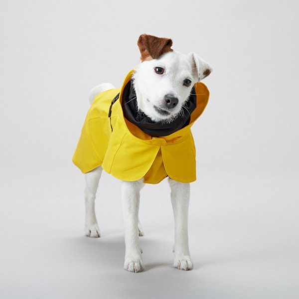 Paikka Rain // Functional dog rain jacket with a good fit (yellow)