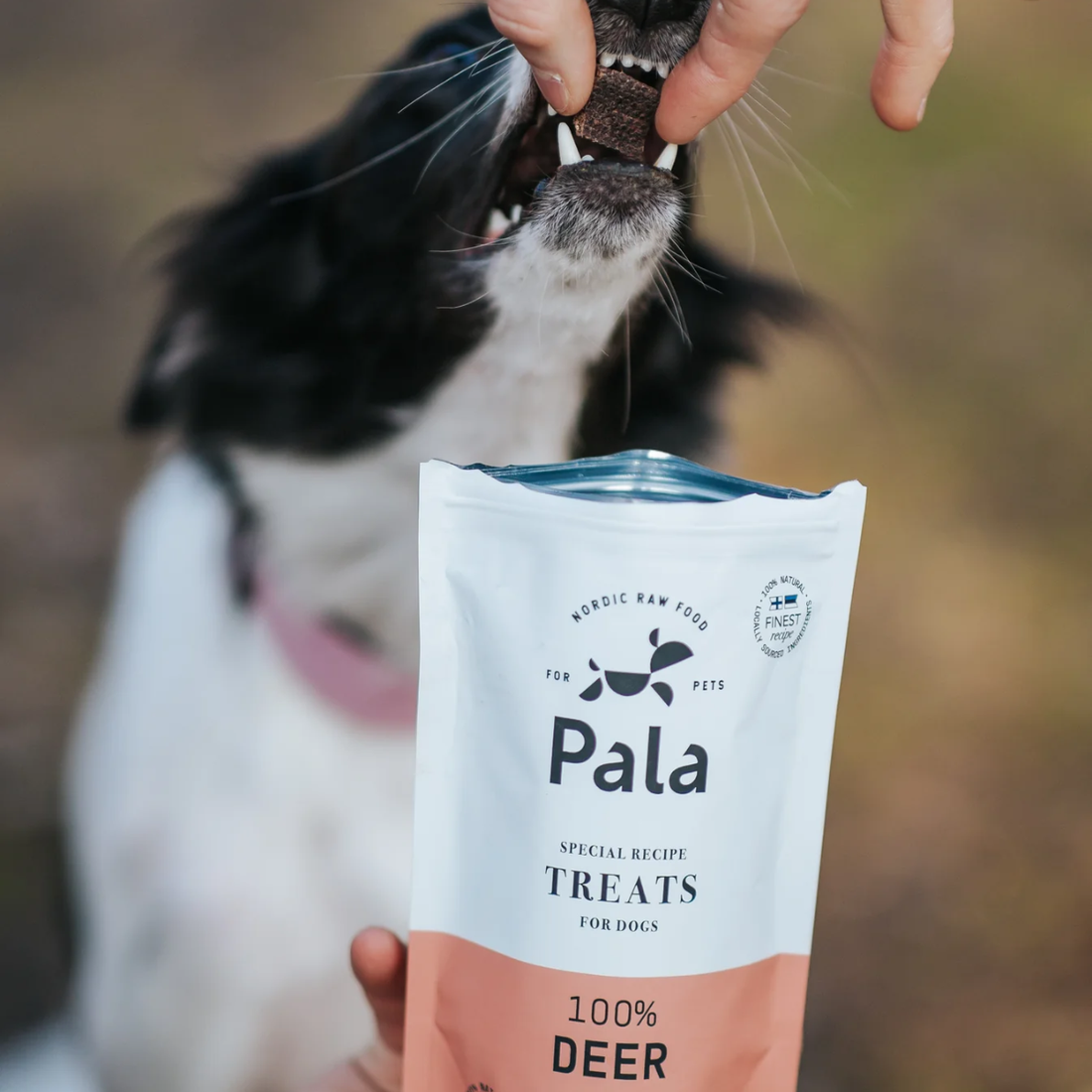 Pala Treat, Deer // A tasty and natural treat made from 100% venison