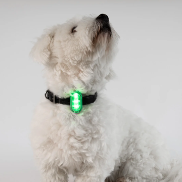Reelight Switch Light // Rechargeable clip-on dog light (green)