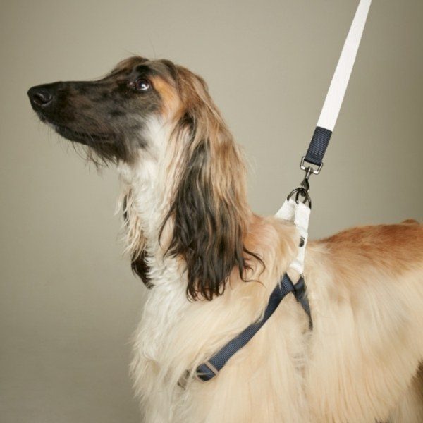 Sonia Navy // Adjustable and easy step-in harness (Large)