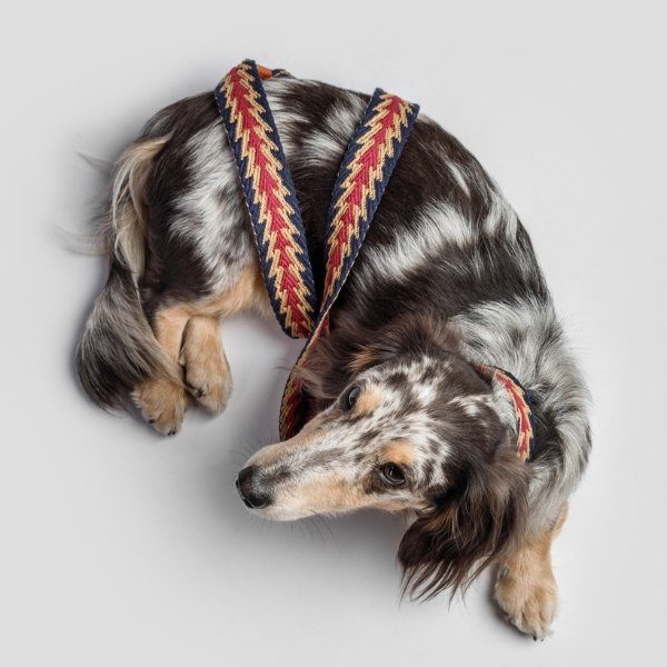 Buddys Dogwear Peruvian Arrow // Wide and light leash (blue)