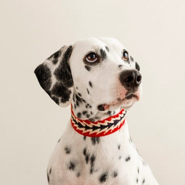 Buddys Dogwear Peruvian Arrow // Wide and light collar (red)