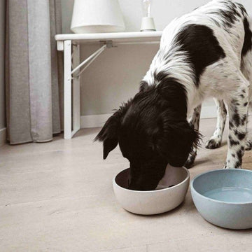 District 70 Bamboo // Bamboo dog bowl (beige)