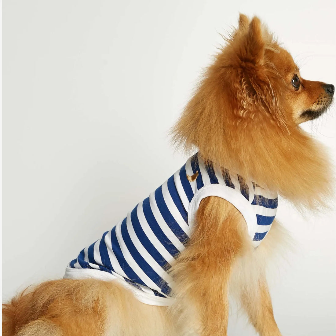 Daniel Bodysuit // Hundetrøje i økologisk bomuld (blå) XS & S