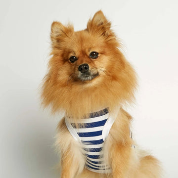 Daniel Bodysuit // Hundetrøje i økologisk bomuld (blå) XS & S