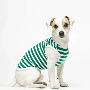 Daniel Bodysuit // Dog sweater in organic cotton (green)
