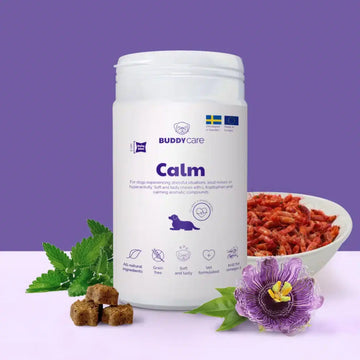 Buddy Calm // Natural dietary supplement with calming effect