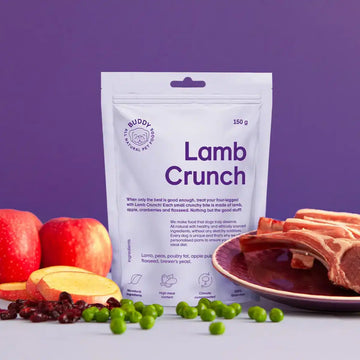 Buddy Lamb Crunch // Crunchy treats with lamb and cranberries