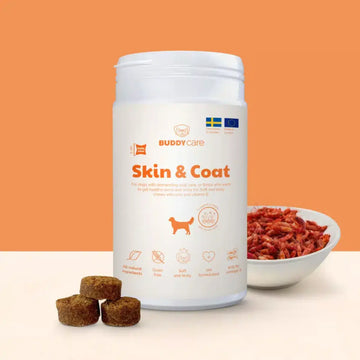 Buddy Skin &amp; Coat // Natural supplement for fur and skin