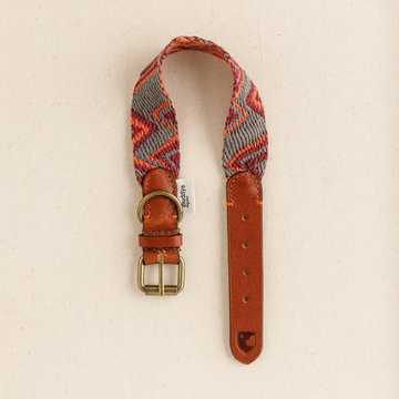 Buddy's Dogwear Peruvian Pikes // Wide and light collar (orange)
