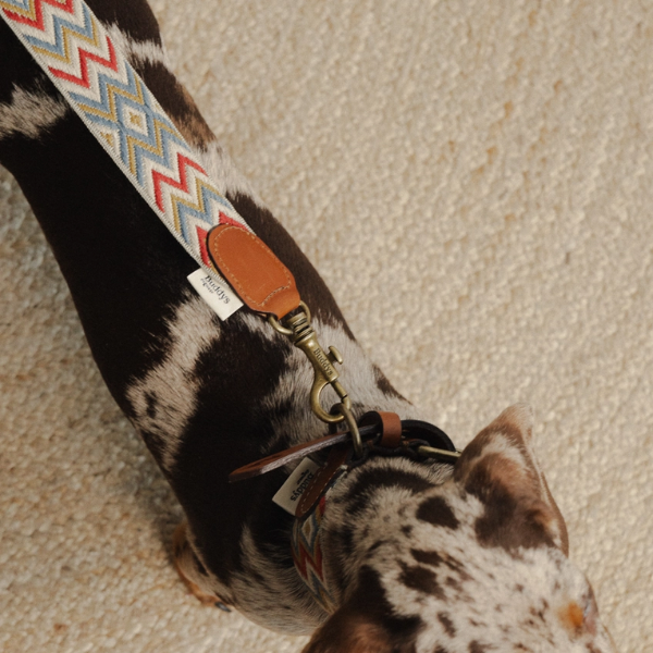 Buddys Dogwear Naya Zigzag // Wide and light leash