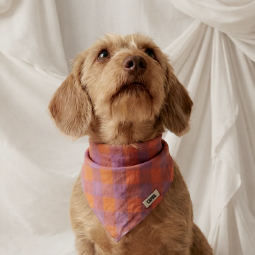 Cafide Bandana // Cotton dog bandana (violet vichy)