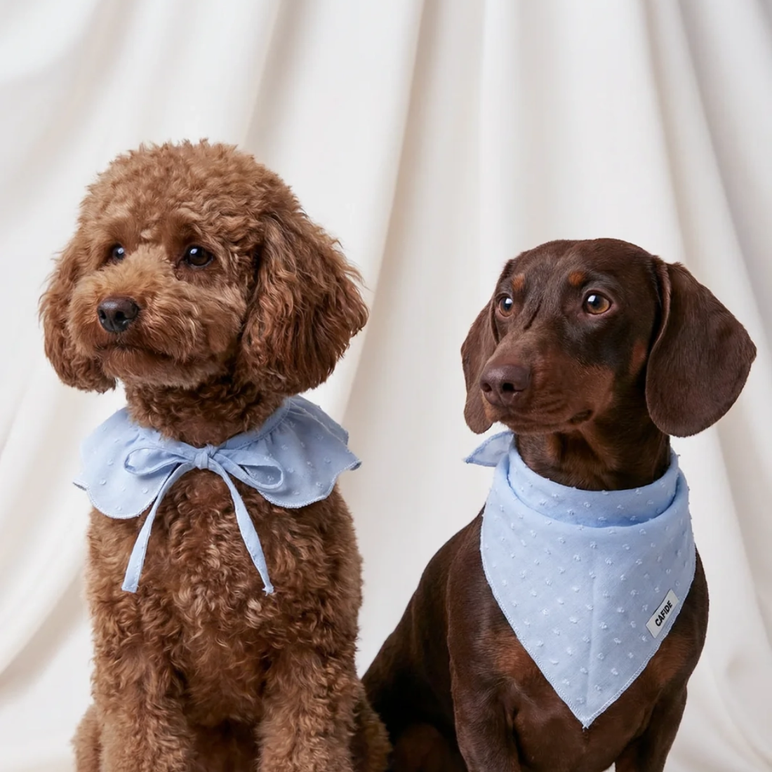 Cafide Neck Bow // Hals-sløjfe til hunde (blue plumeti)