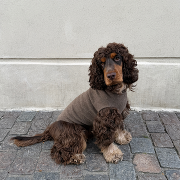 Calimar Sweater 2.0 // Knitted dog sweater in wool (brown)