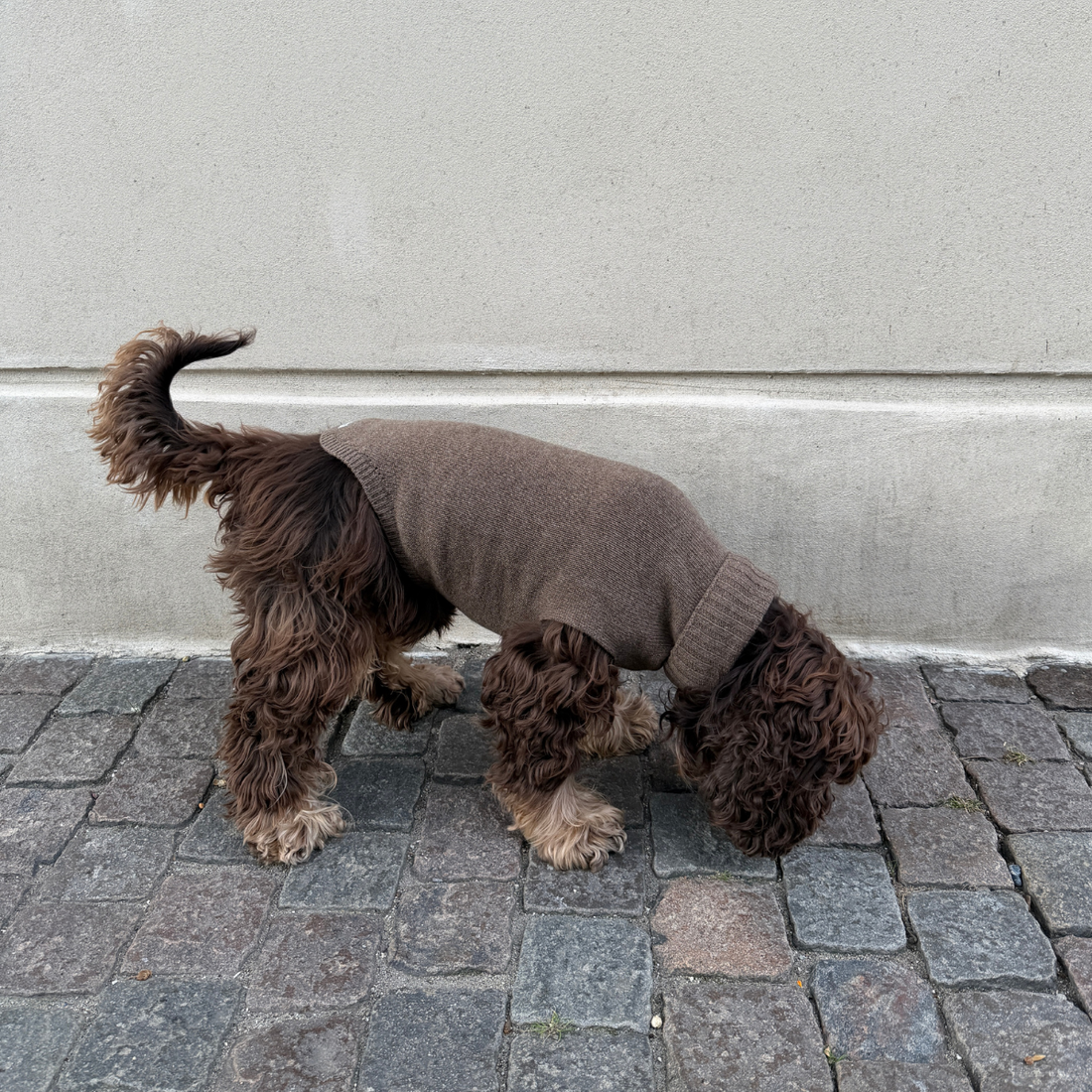 Calimar Sweater 2.0 // Strikket hundesweater i uld (brun)