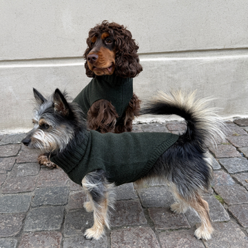 Calimar Sweater 2.0 // Knitted dog sweater in wool (green)