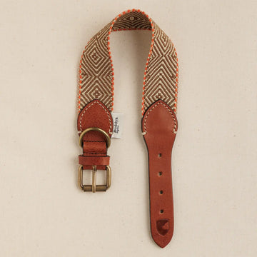 Buddys Dogwear Capri Isola // Wide and light collar (brown/orange)