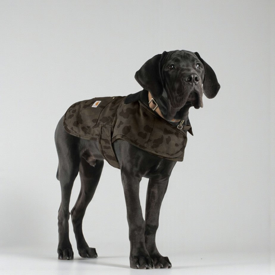 Carhartt Hundejakke // Vandafvisende overgangsjakke (camou)