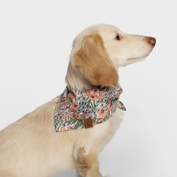 Cloud7 LTTL Bandana // Dog bandana for puppies and small dogs (blossoms)
