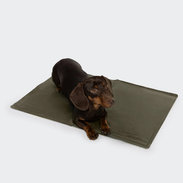 Cloud7 ACTIVE Cooling Mat // Self-cooling mat for warm days (olive)