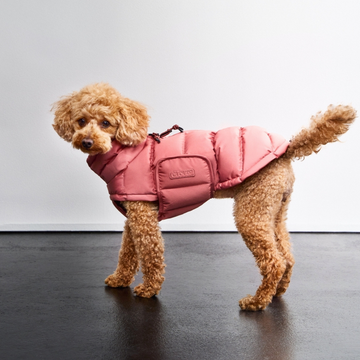 Cloud7 Alaska // Ekstra varm vinterjakke til hunde (faded rose)