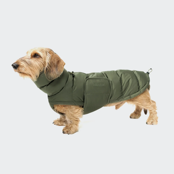 Cloud7 Alaska, Dachshund // Extra warm winter jacket (light olive)