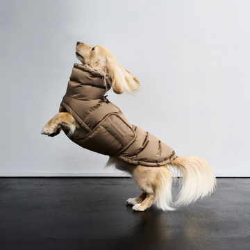 Cloud7 Alaska, Dachshund // Extra warm winter jacket (sandy brown)