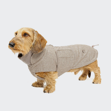Cloud7 Brooklyn, Dachshund // Warm and water-repellent dog jacket (tweed beige)