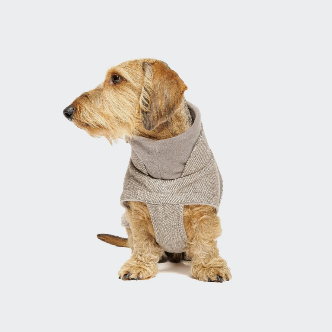 Cloud7 Brooklyn, Gravhund // Varm og vandafvisende hundejakke (tweed beige)