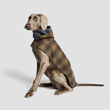 Cloud7 Brooklyn // Warm and water-repellent dog jacket (waxed tartan)* size 4